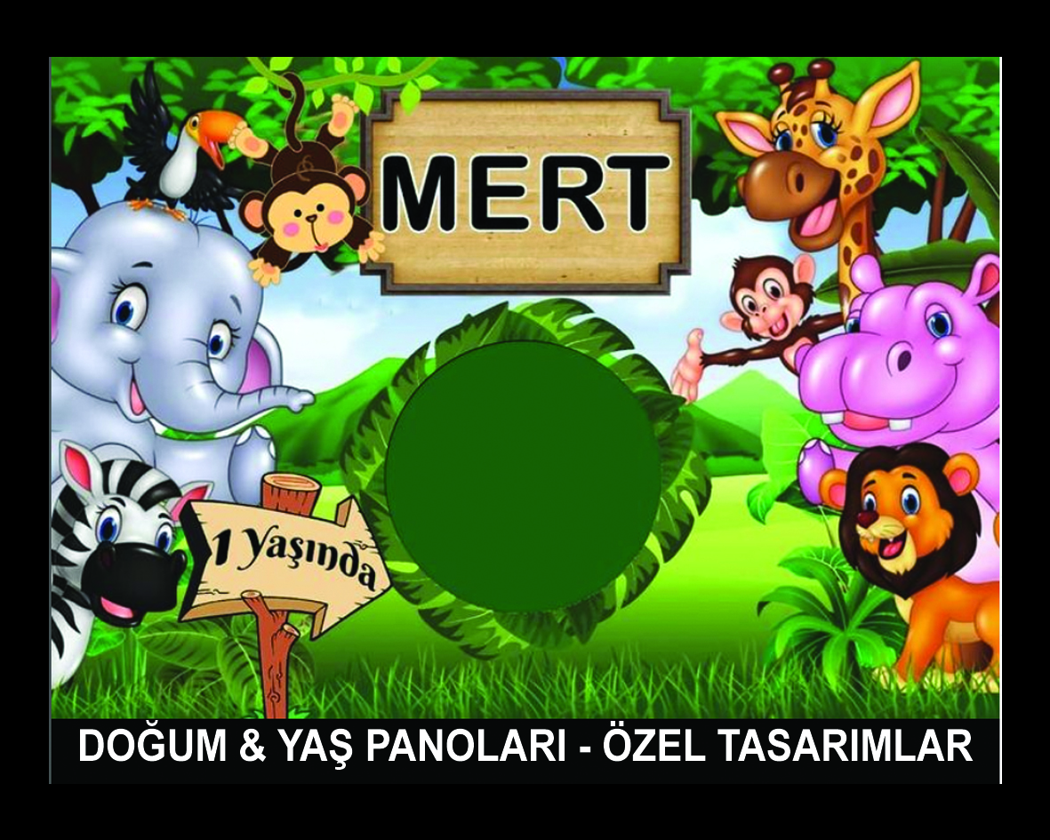 Doğum-Yaş Günü Panoları-Özel Tasarımlar